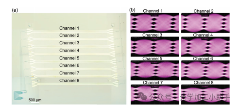 微信图片_20250208101717