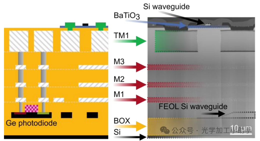 微信图片_2025-06-30_102709_722
