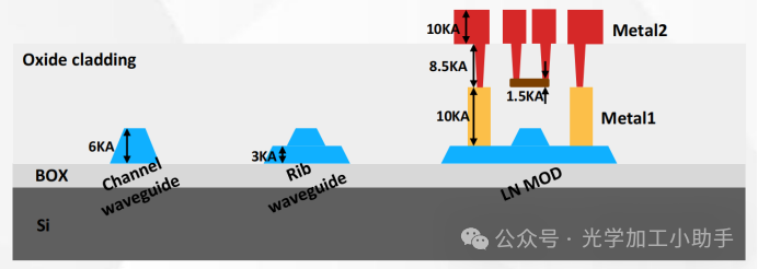 微信图片_20250217105759