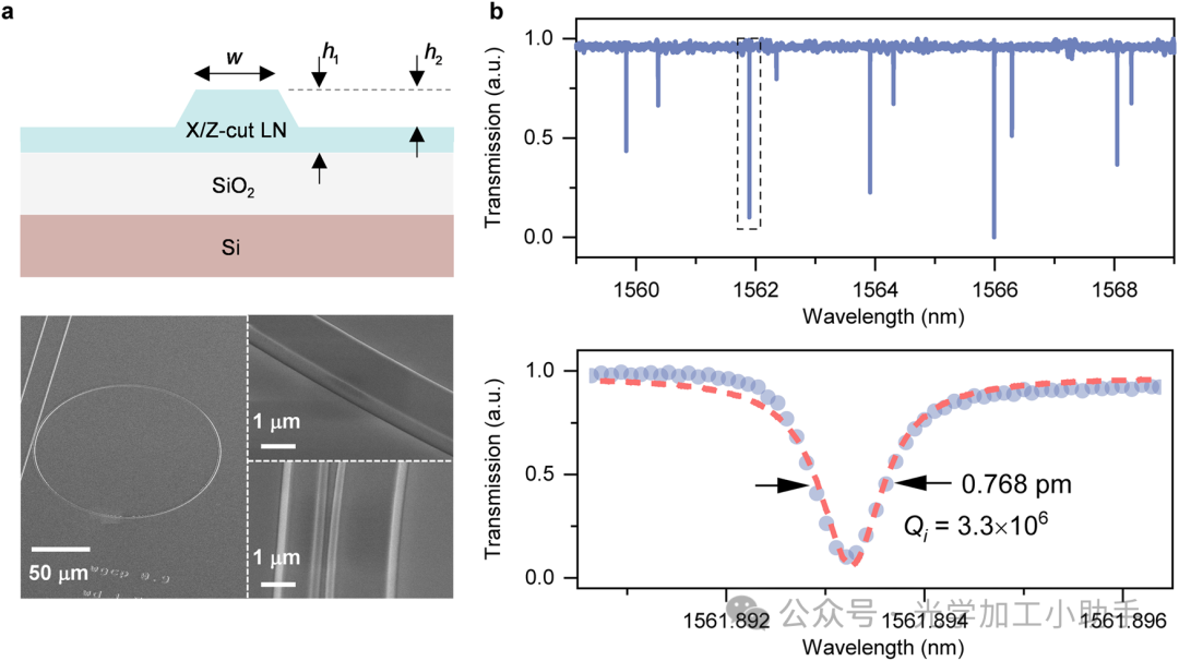 微信图片_20250217110342