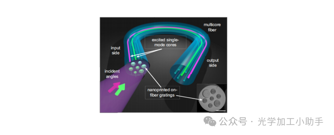 微信图片_20250321105243