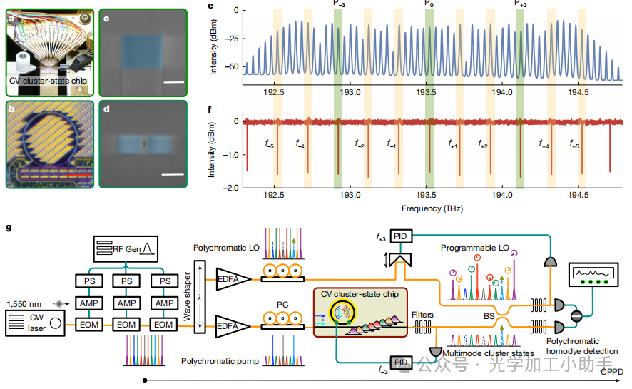 微信图片_20250309193333