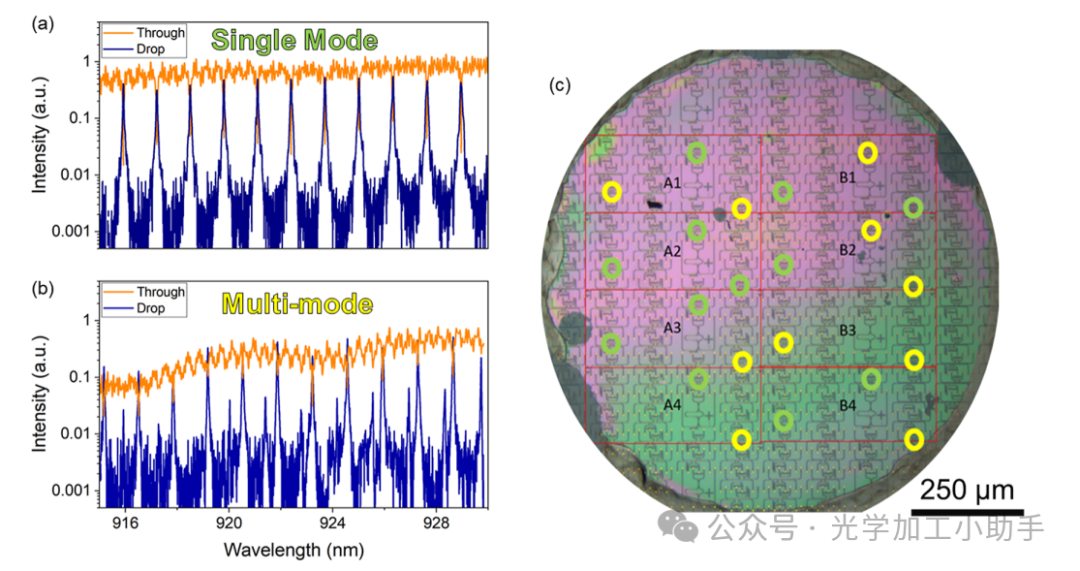 微信图片_2025-06-26_145815_566