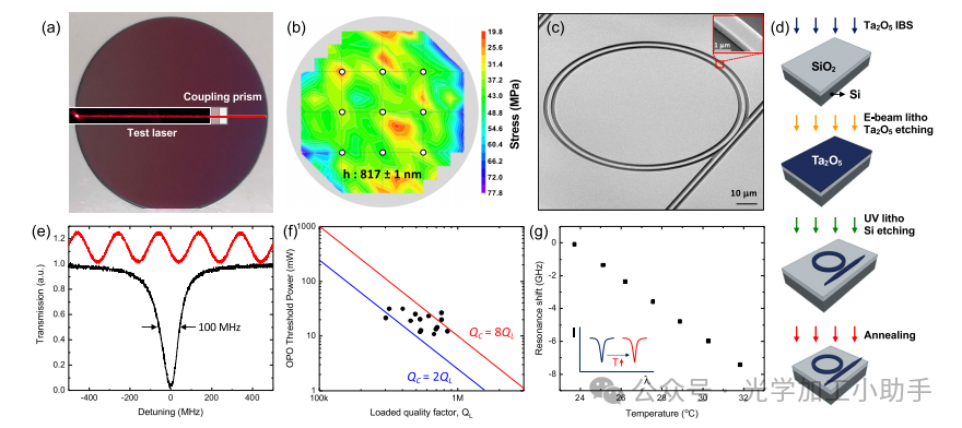 微信图片_2025-06-26_150232_152