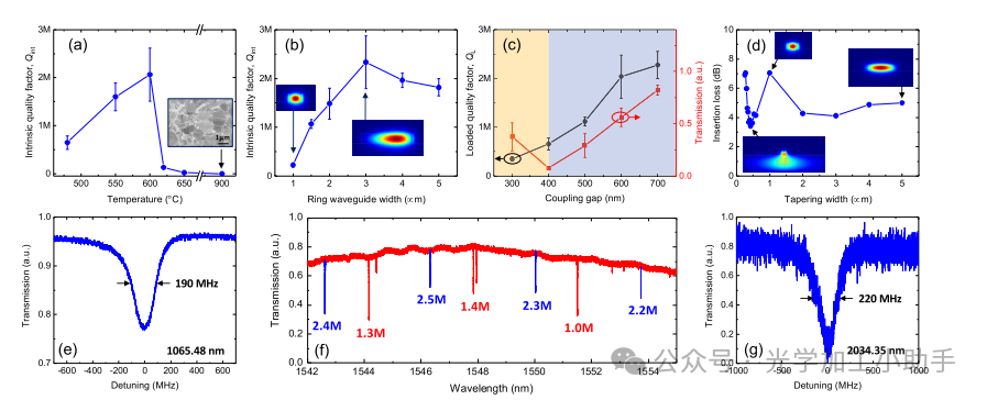 微信图片_2025-06-26_150236_019
