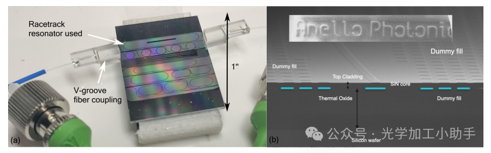 微信图片_20250205111041