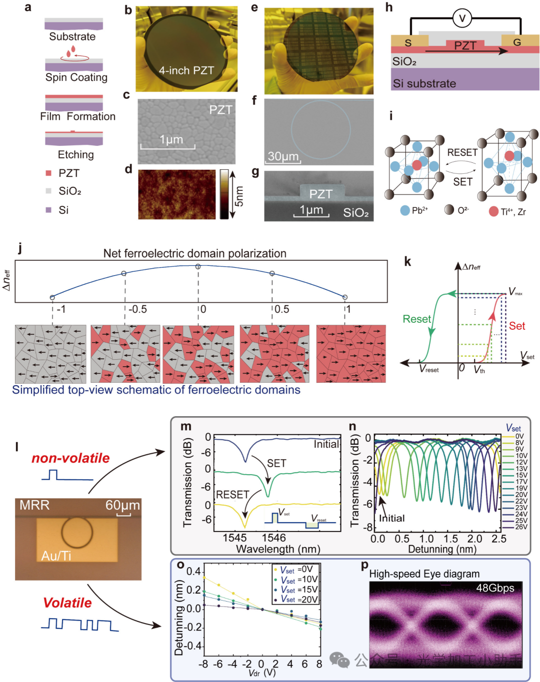 微信图片_20250403104202