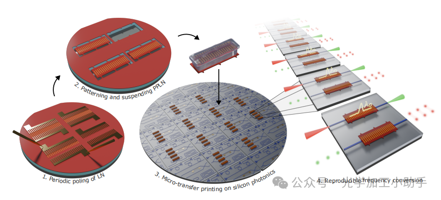 微信图片_20250314111336