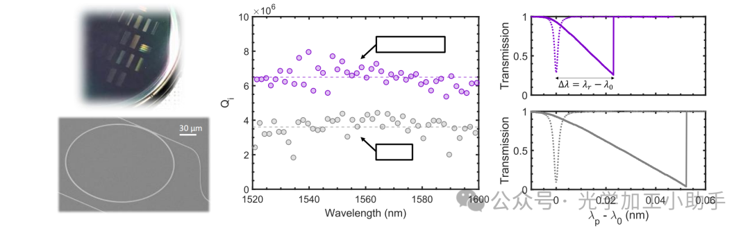 微信图片_20250131192647