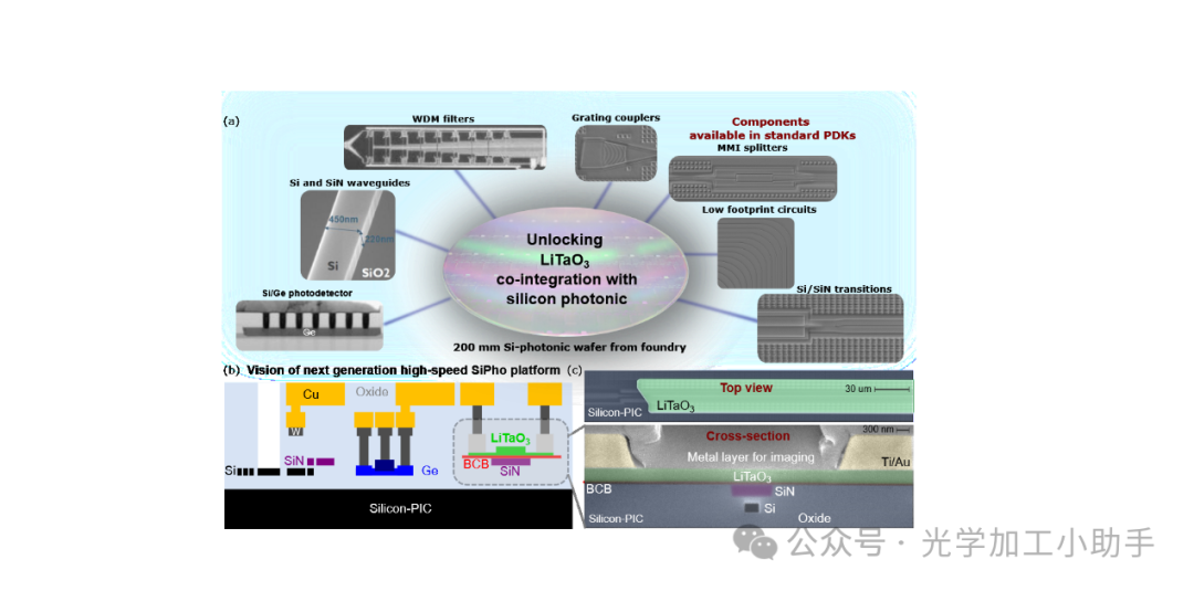 微信图片_20250317101046