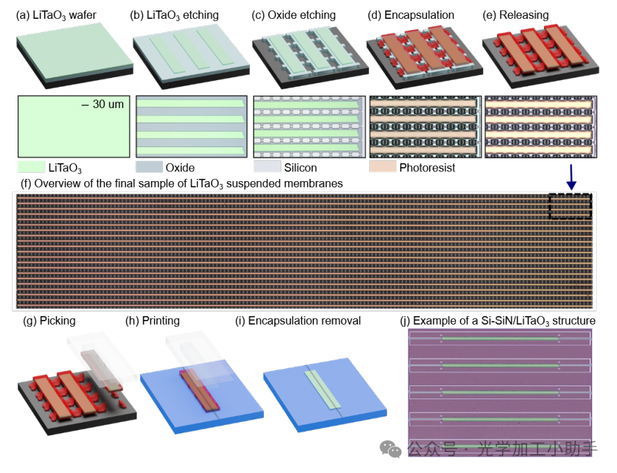 微信图片_20250317101016