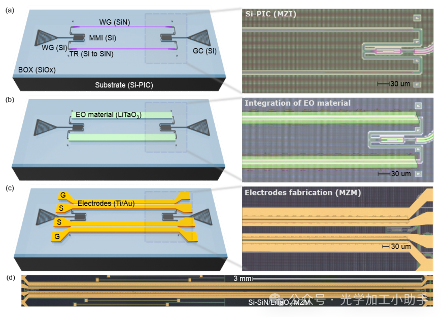 微信图片_20250317100956