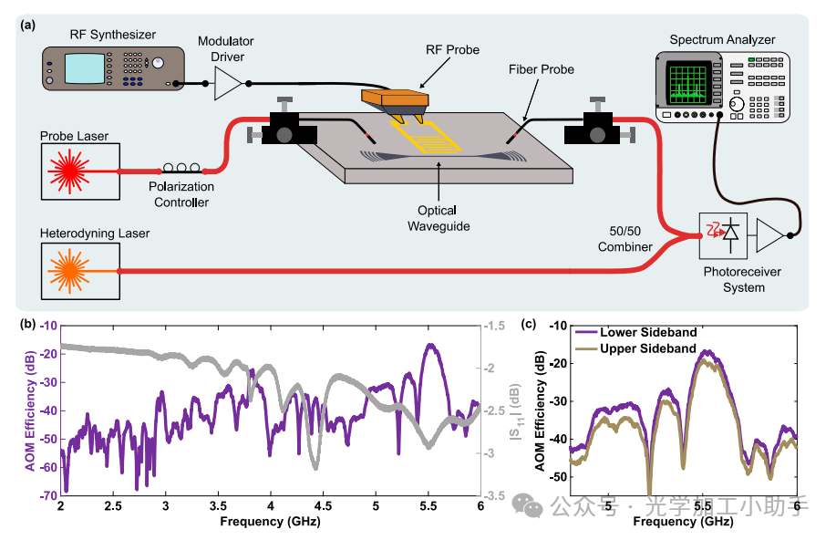 微信图片_2025-06-25_162010_063