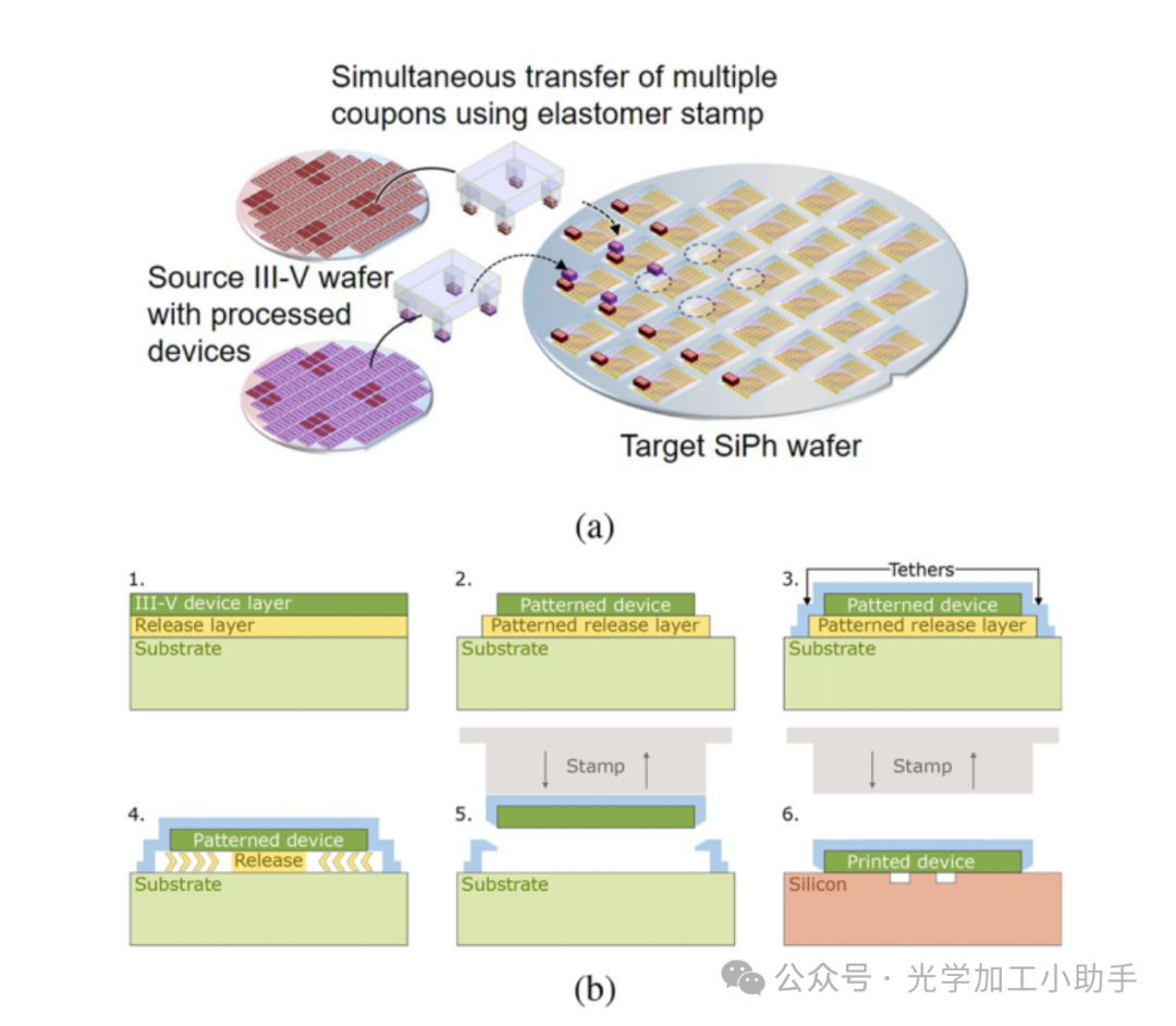 微信图片_2025-06-27_105332_801