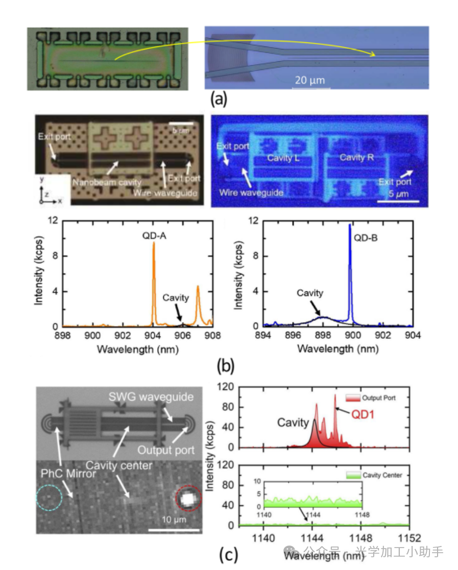 微信图片_2025-06-27_105420_629