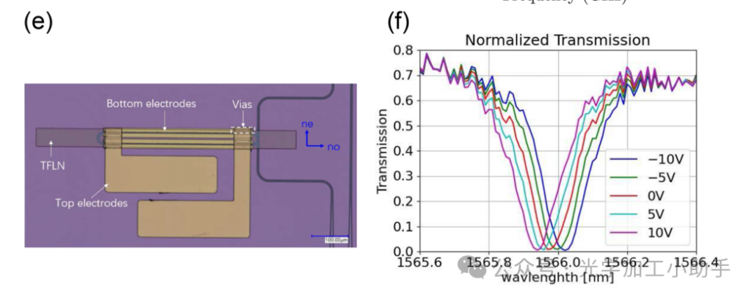 微信图片_2025-06-27_105524_086