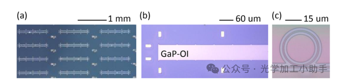 微信图片_2025-06-27_105529_680