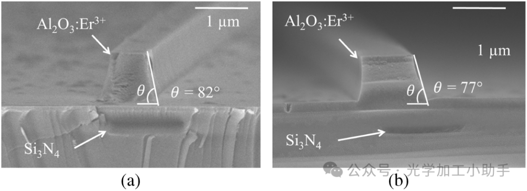 微信图片_20250205104619
