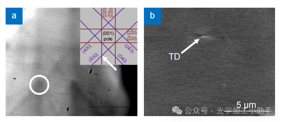 微信图片_20241122165954