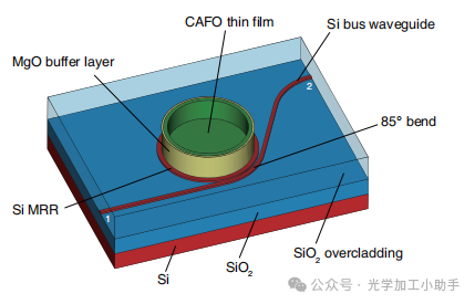 微信图片_20250219112049