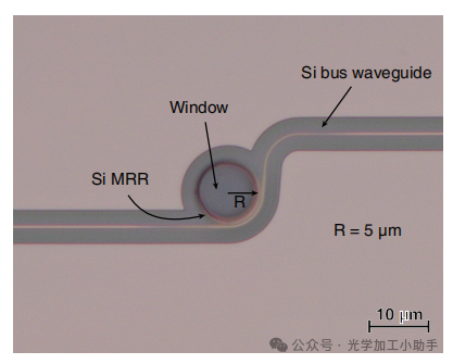 微信图片_20250219112005