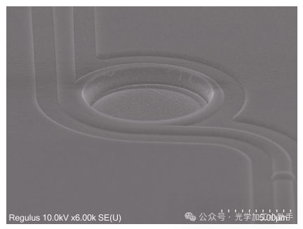 微信图片_20250219112007