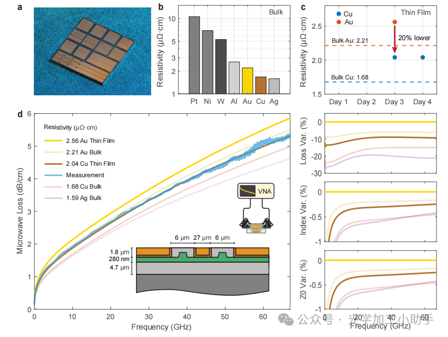 微信图片_2025-06-27_105017_012