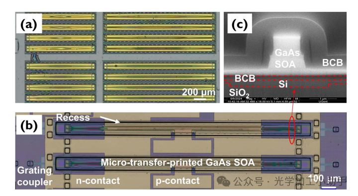 微信图片_2025-06-27_104530_772