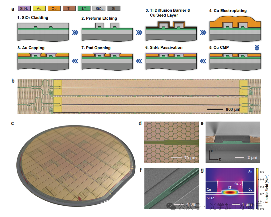 微信图片_2025-06-27_105012_218