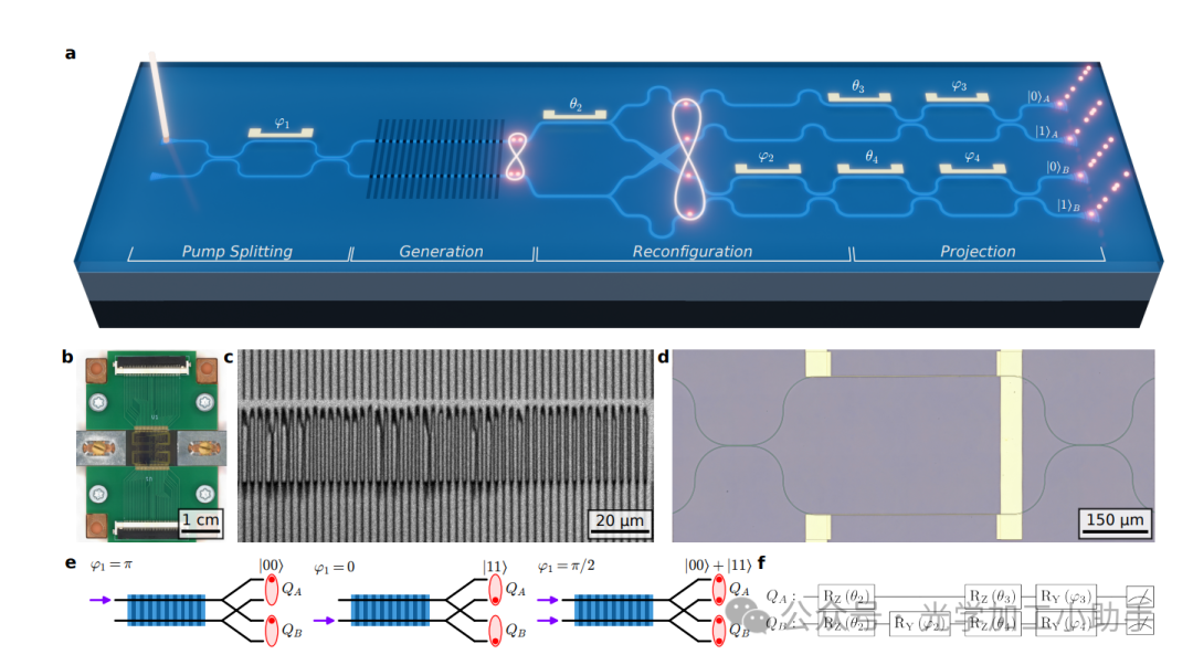 微信图片_2025-06-30_115117_373