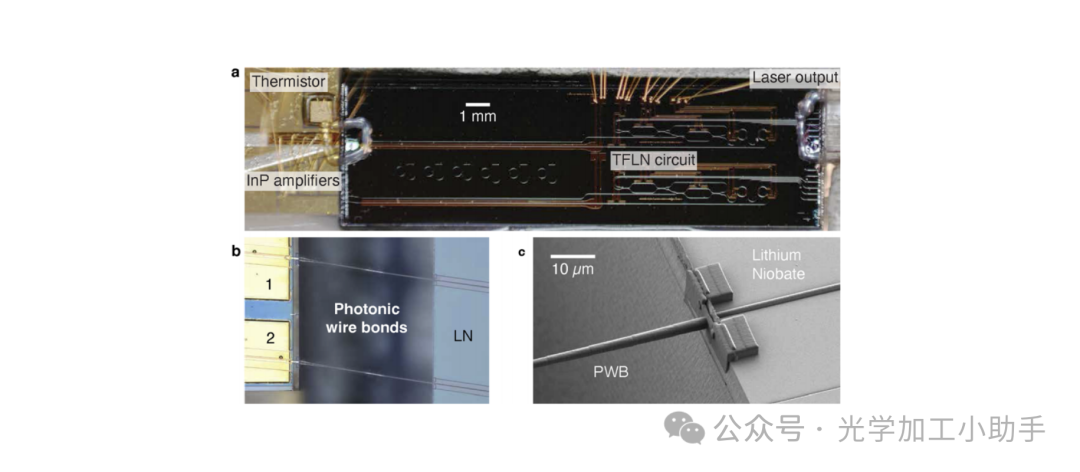 微信图片_20250210111531
