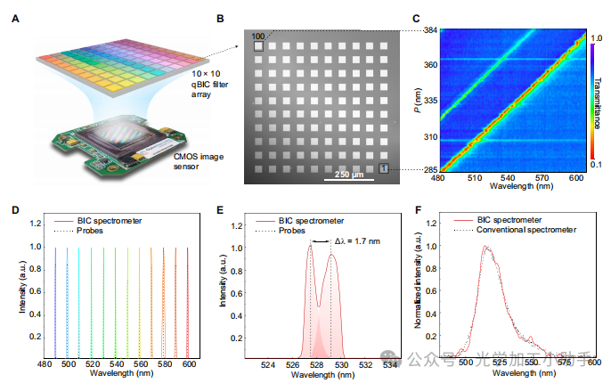 微信图片_20241212093307