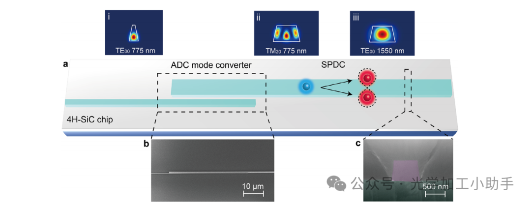 微信图片_2025-06-30_100326_828