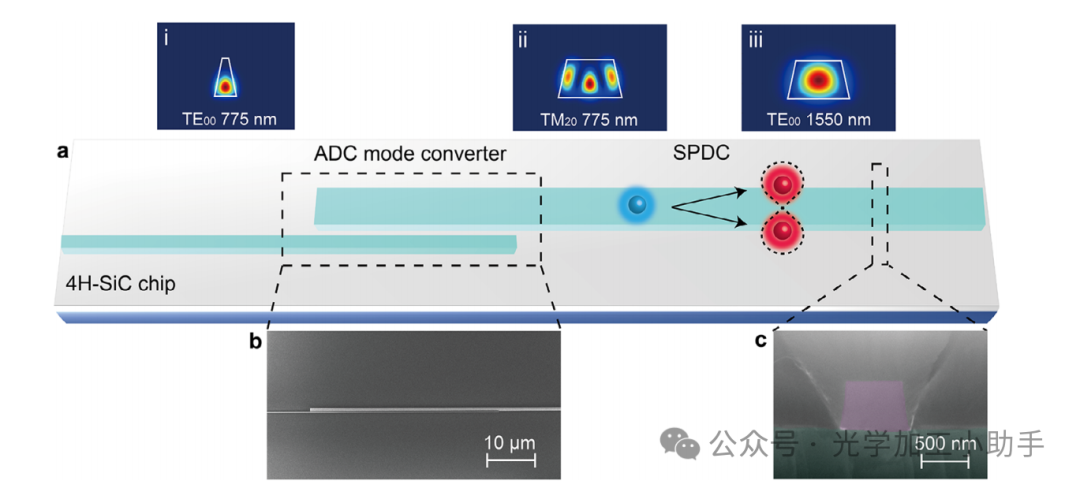 微信图片_2025-06-30_100317_265
