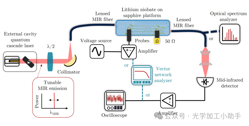 微信图片_2025-06-30_101116_919