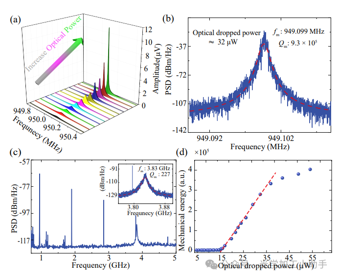 微信图片_2025-06-27_113122_743