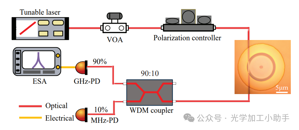 微信图片_2025-06-27_113057_901
