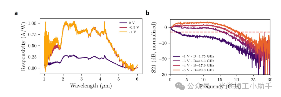 微信图片_2025-06-30_101129_184
