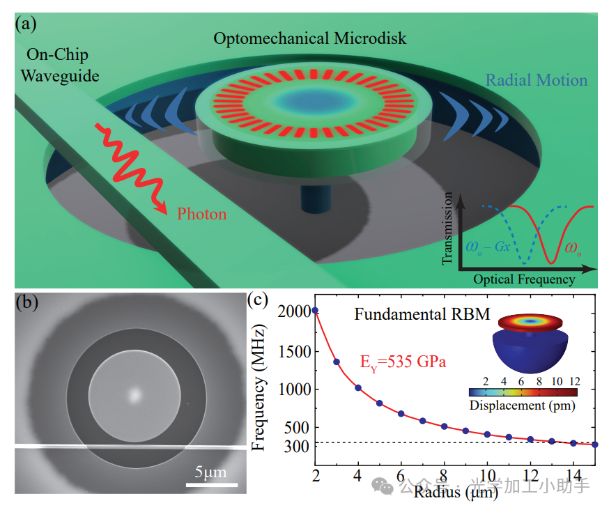 微信图片_2025-06-27_113052_634