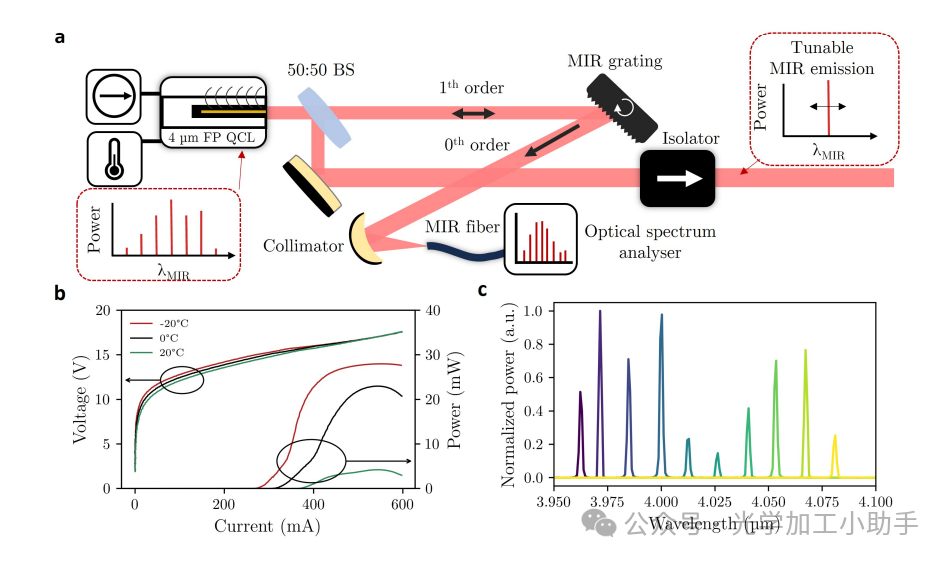 微信图片_2025-06-30_101116_919