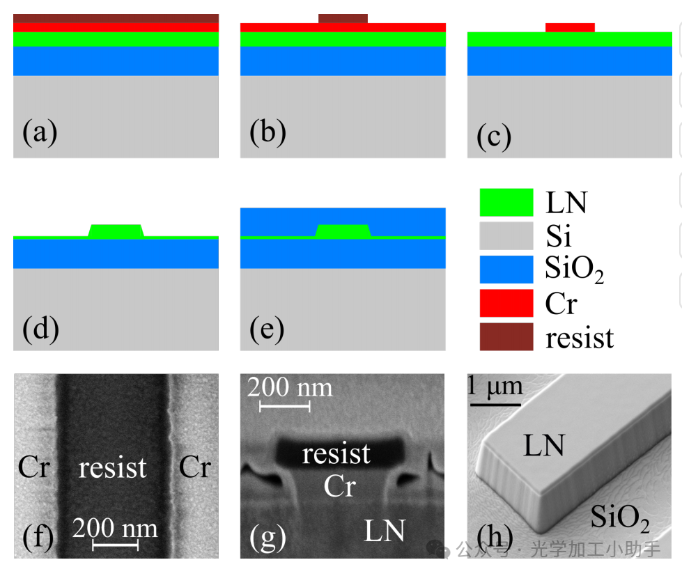 微信图片_20250131193933