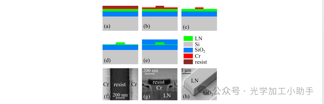 微信图片_20250131194050