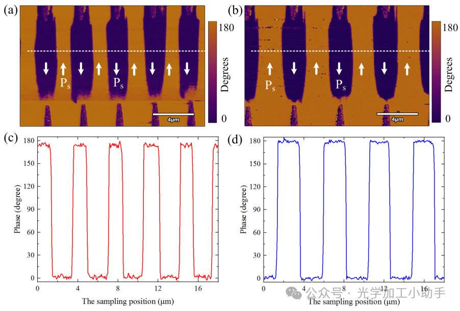 微信图片_20250319102444
