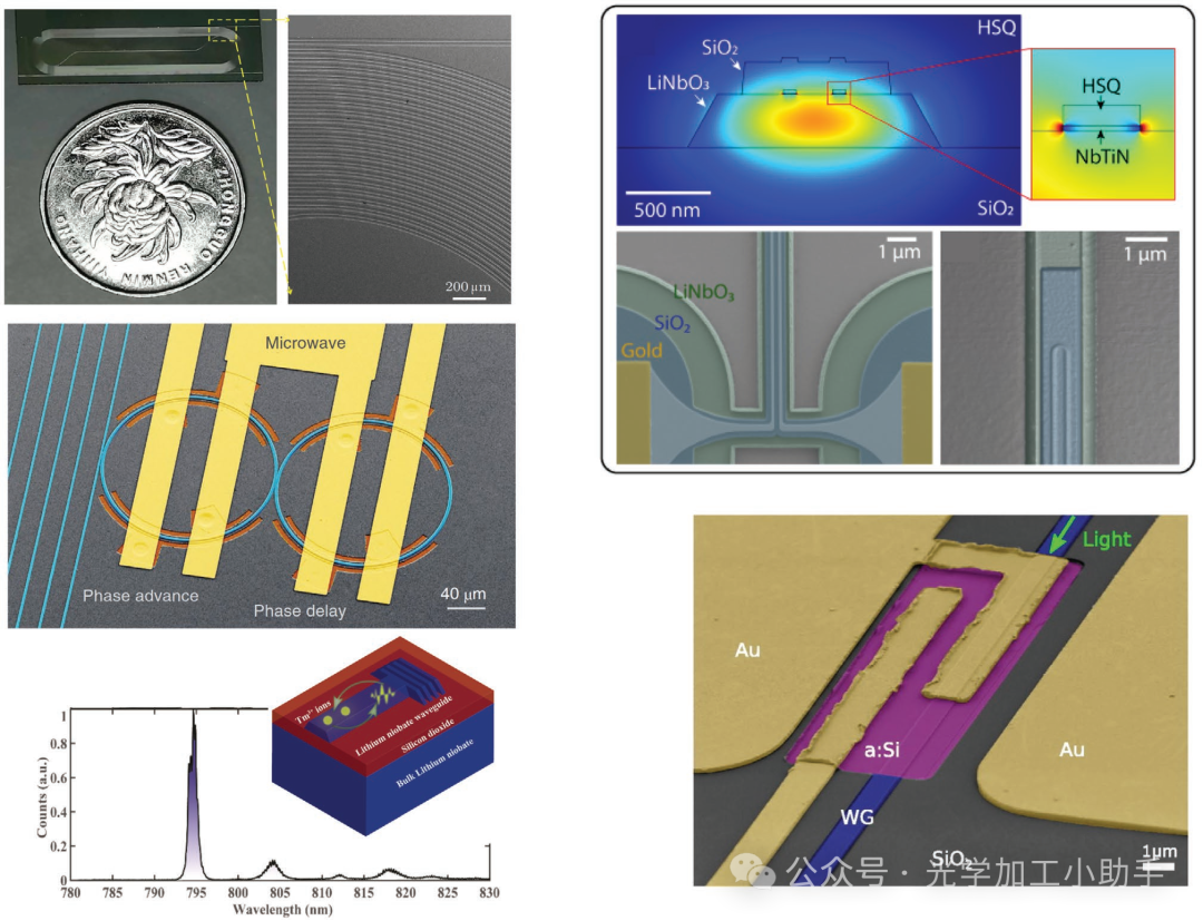 微信图片_20241228105955
