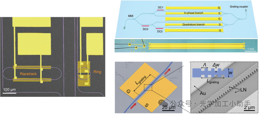 微信图片_20241228105755