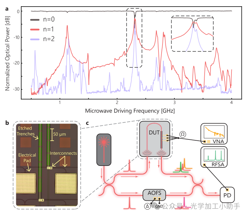 微信图片_20250224084905