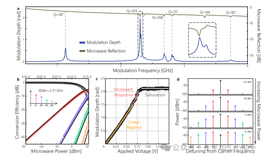 微信图片_20250224084906