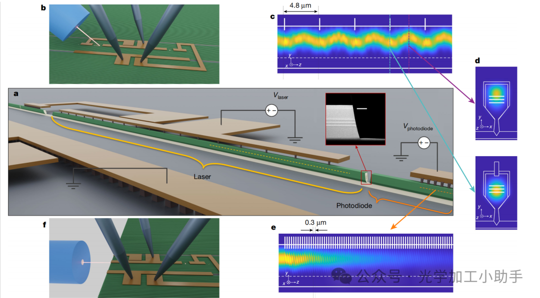 微信图片_20250102165944
