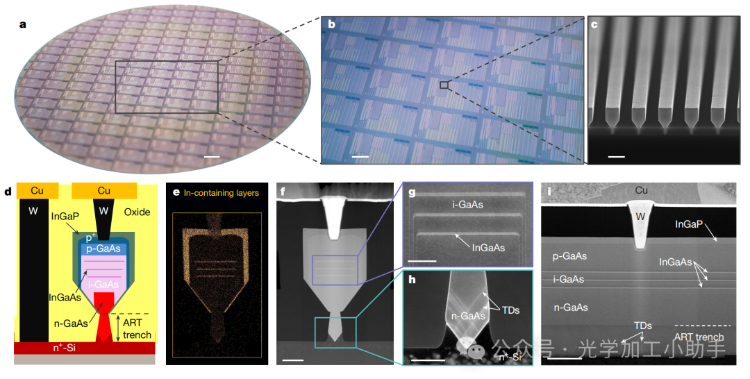 微信图片_20250102165942