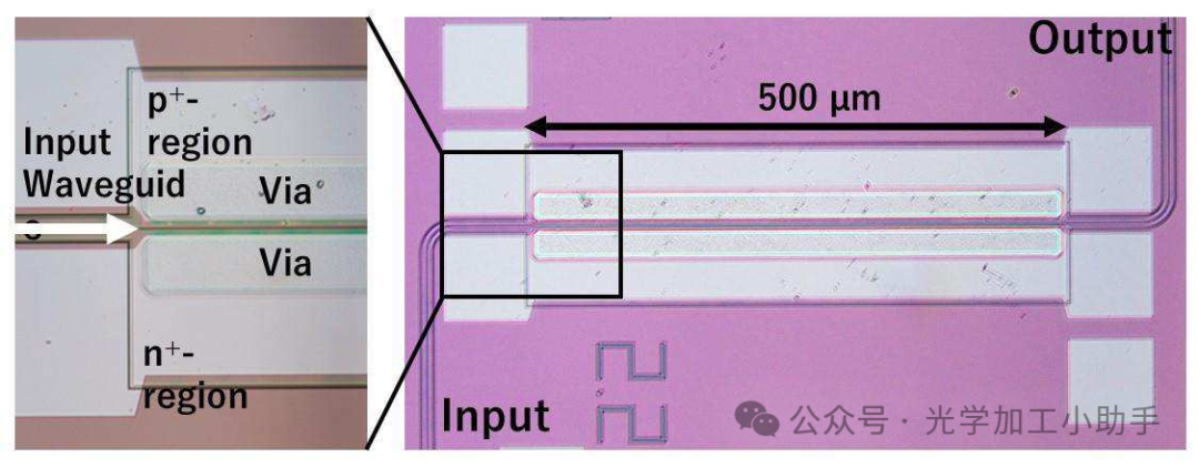 微信图片_20250321104736